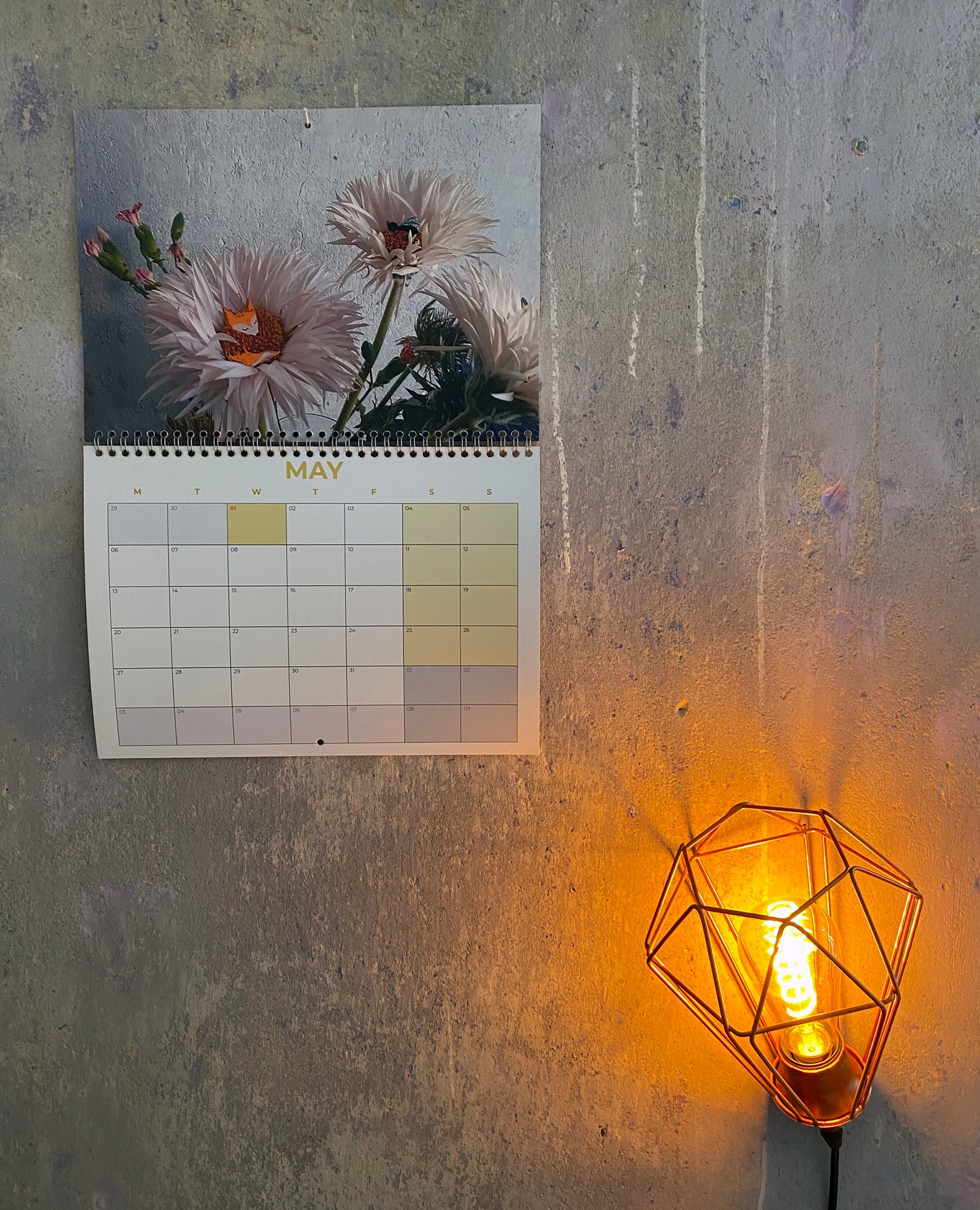 Fuchs&Mouche Calendar 2024